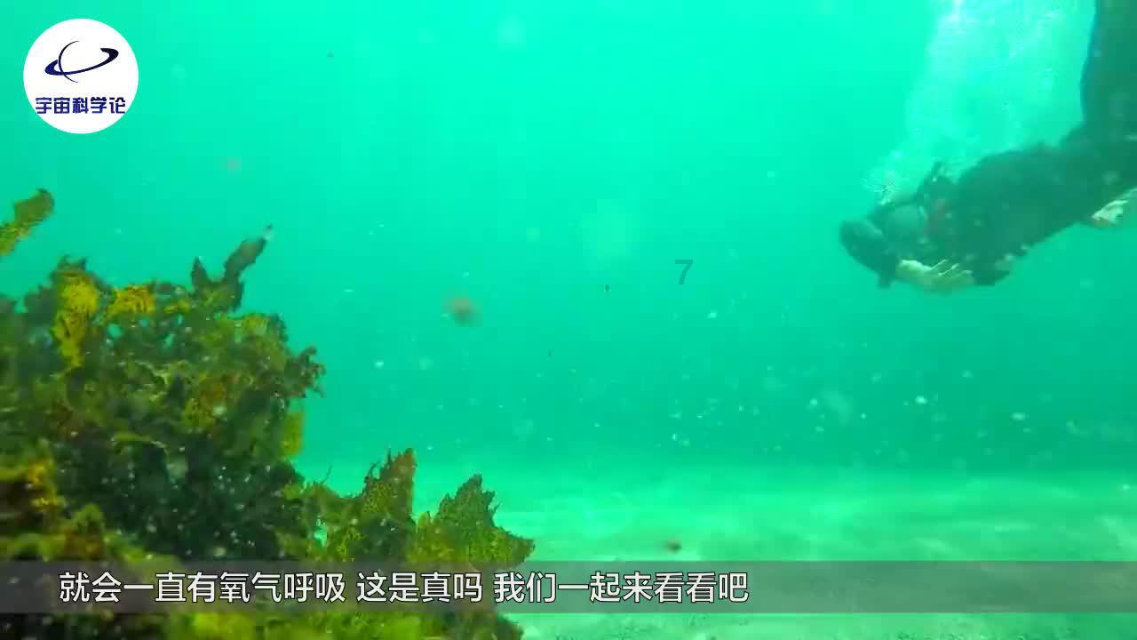 精灵的居住地